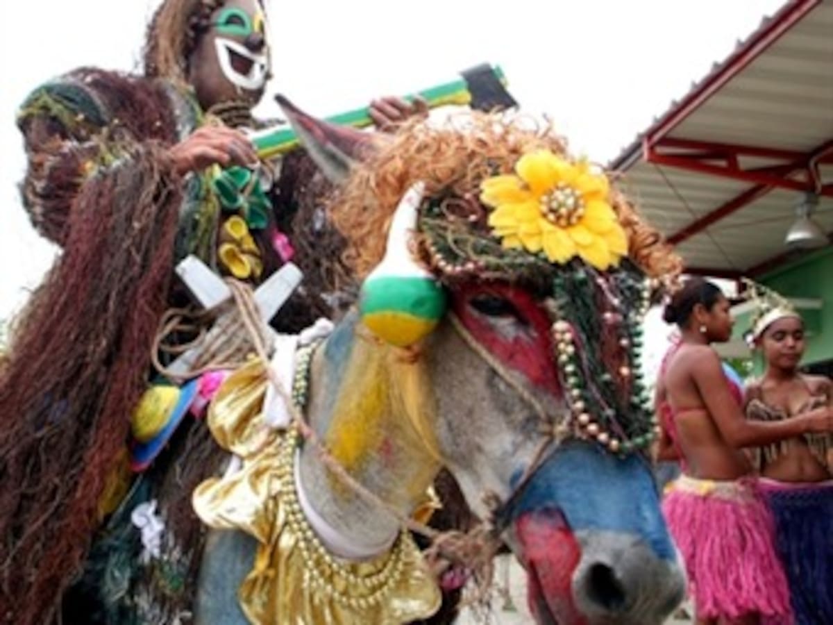 Iglesia católica en Córdoba pide que se aplace el festival del burro