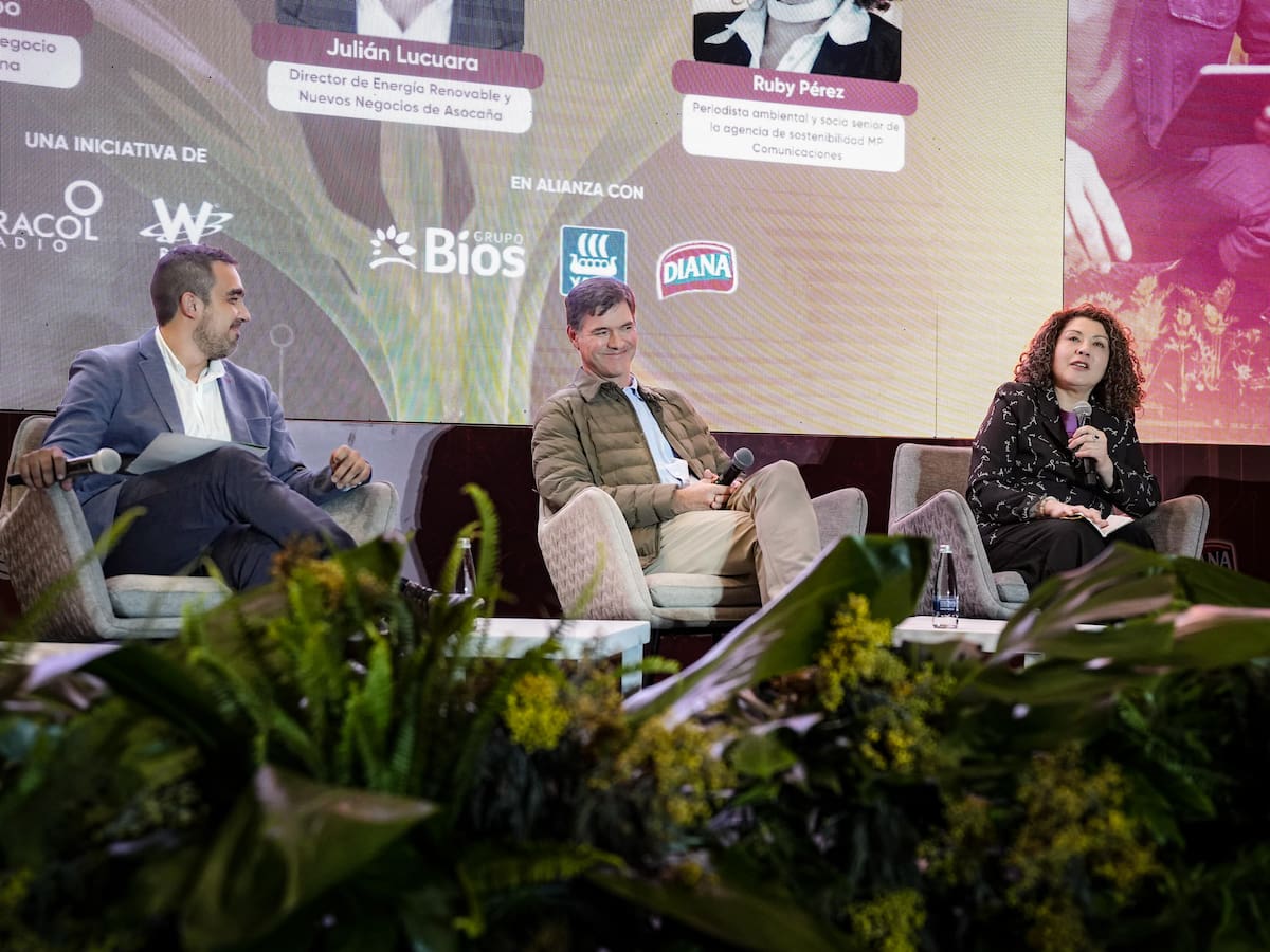 Sostenibilidad y transición energética, pilares del desarrollo del agro colombiano