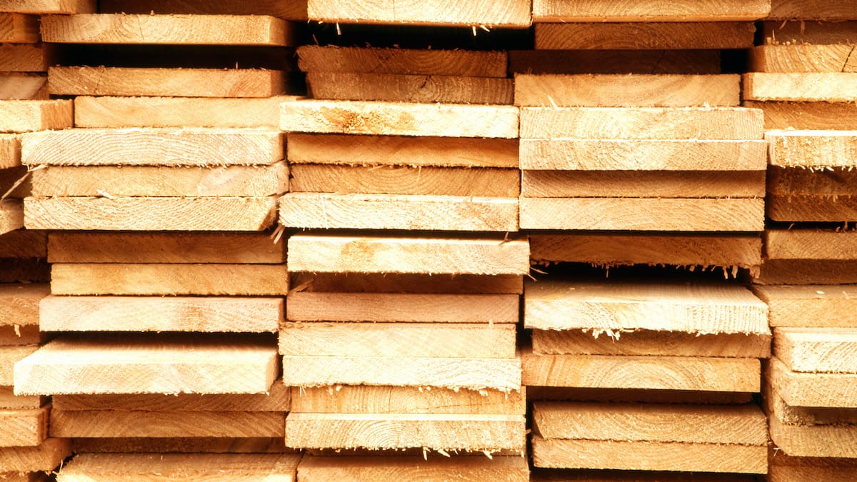 Propuestas para atacar la deforestación presenta Fedemaderas