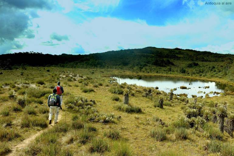 Páramo Santa Inés de Belmira, Antioquia. 