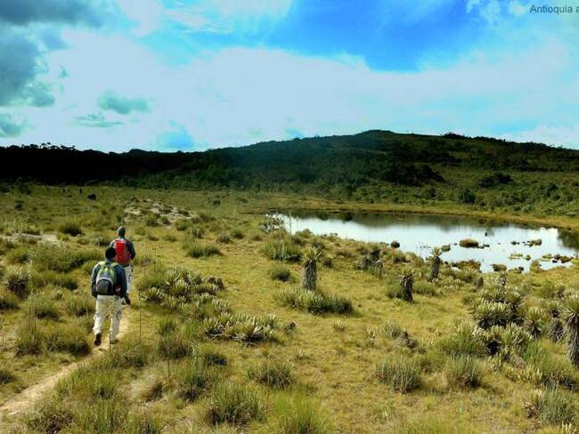 Páramo Santa Inés de Belmira, Antioquia.