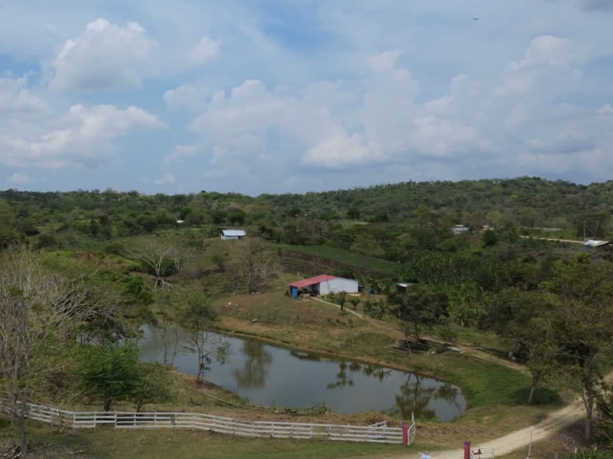 SAE rechaza amenazas contra 27 familias campesinas que habitan el predio Sabana Alta en Turbaco