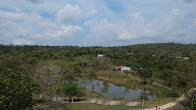La SAE rechaza amenazas contra 27 familias campesinas que habitan el predio Sabana Alta en Turbaco, Bolívar