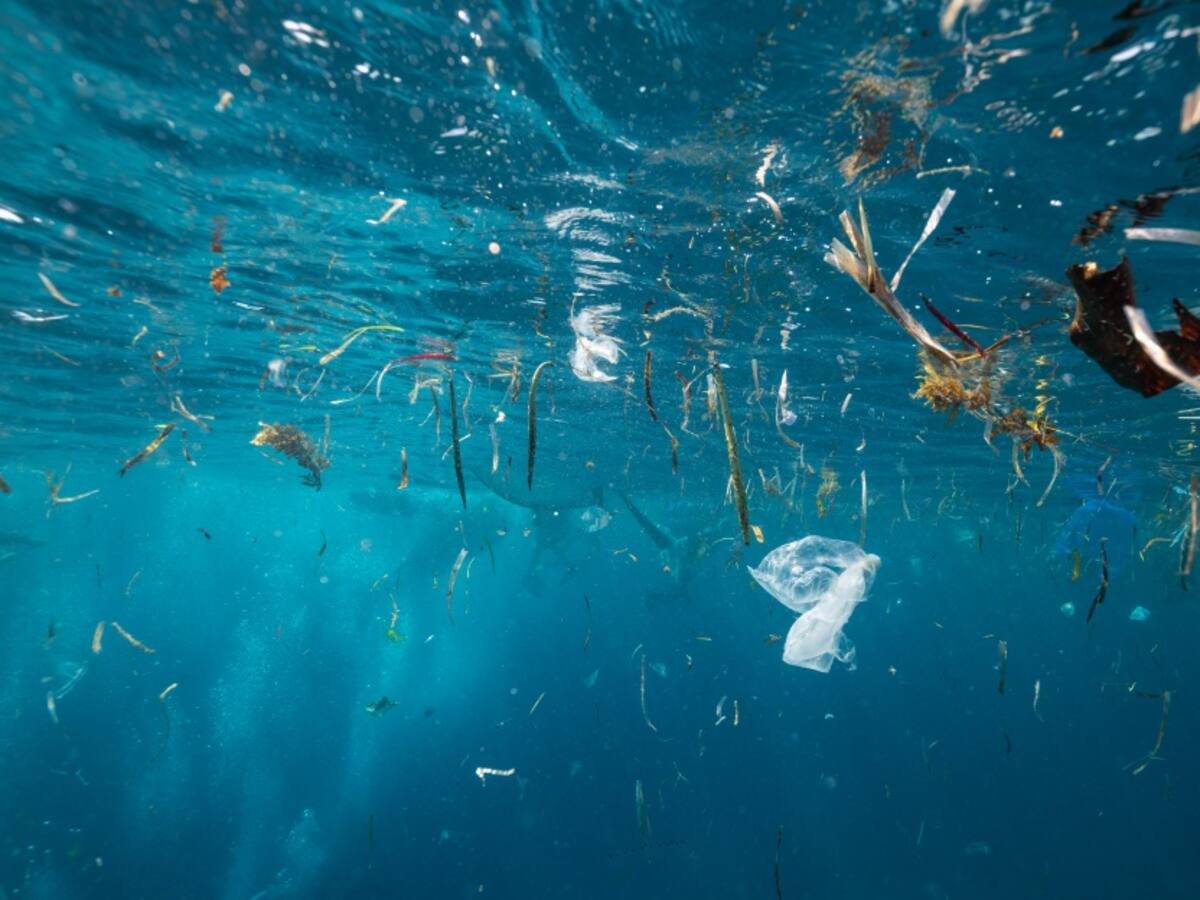 La Fundación Caminante del Viento emprende expedición de limpieza