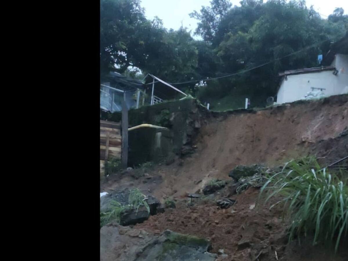 Fuertes lluvias en Medellín dejan varios árboles caídos y deslizamientos