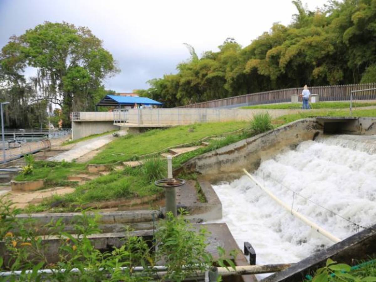 Árbol que cayó sobre sistema de captación afectó suministro de agua