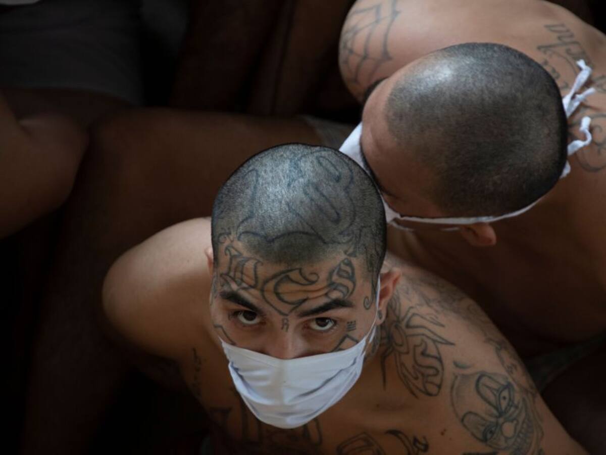 El documental que cuenta cómo es ser pandillero y gay dentro de una cárcel