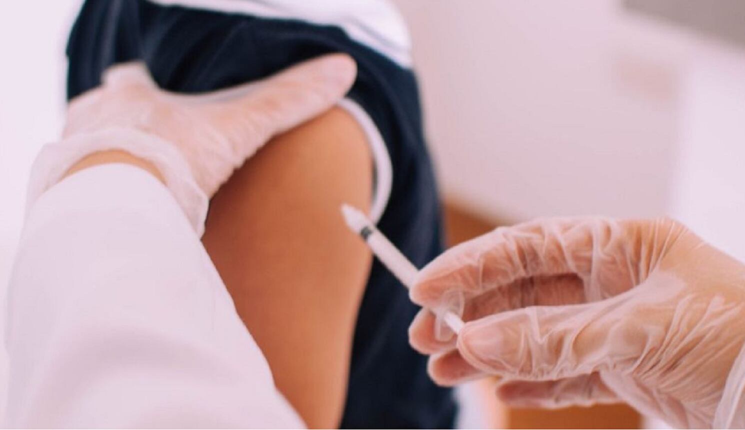 Imagen de referencia