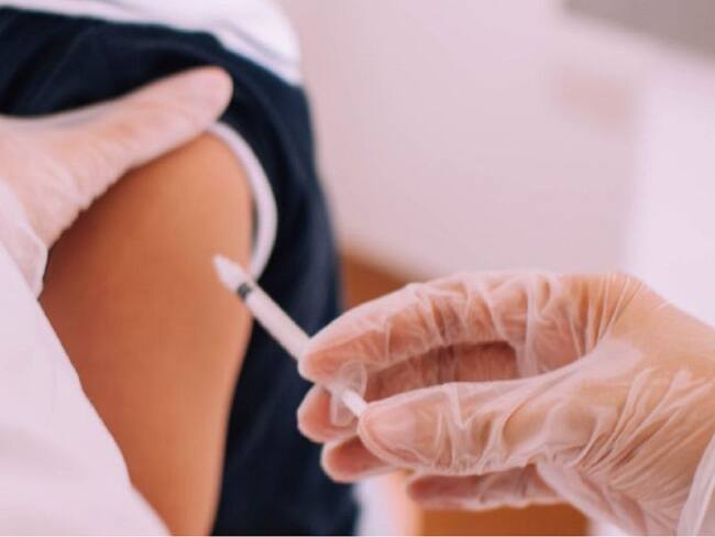 Imagen de referencia