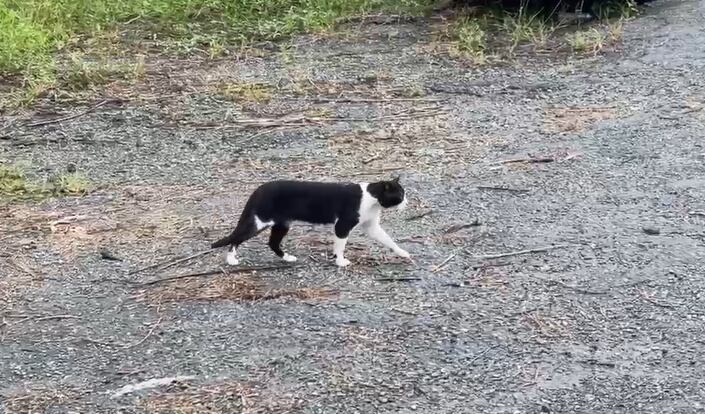 Foto: Área Metropolitana.