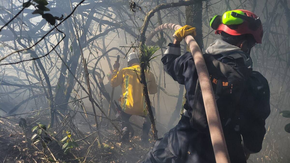 Fotos | Arde la Reserva Forestal Don Benito en Zipaquirá, Cundinamarca