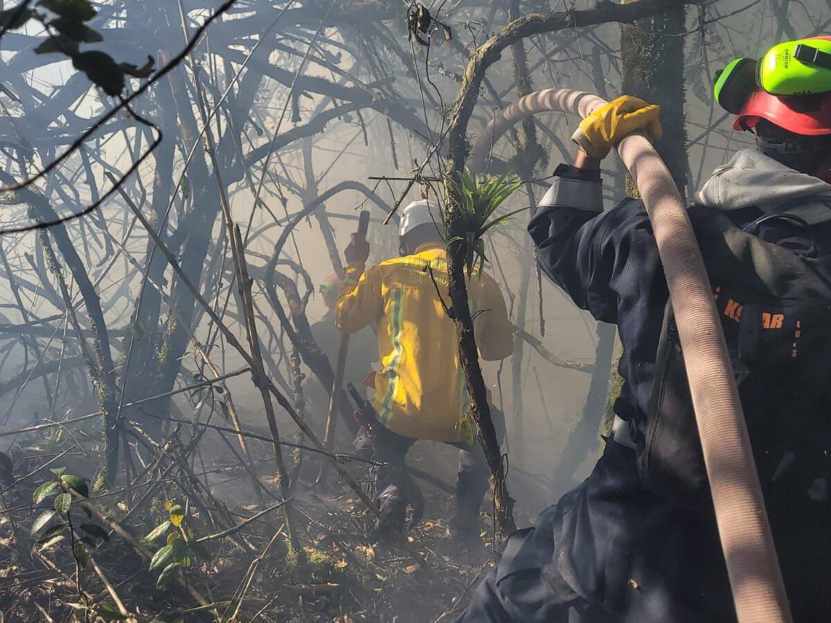 Incendio forestal quema cultivos en el Cerro El Muñeco de Valledupar