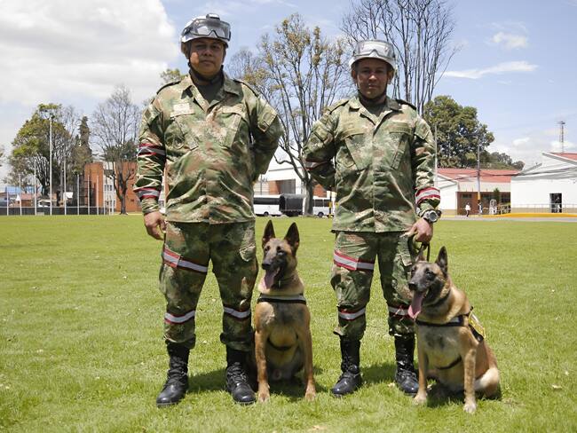 Binomios caninos del Ejército rumbo a Turquía. Cortesía: Ejército Nacional.