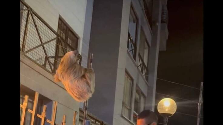 José Manuel Cortés, director CRQ, Quindío