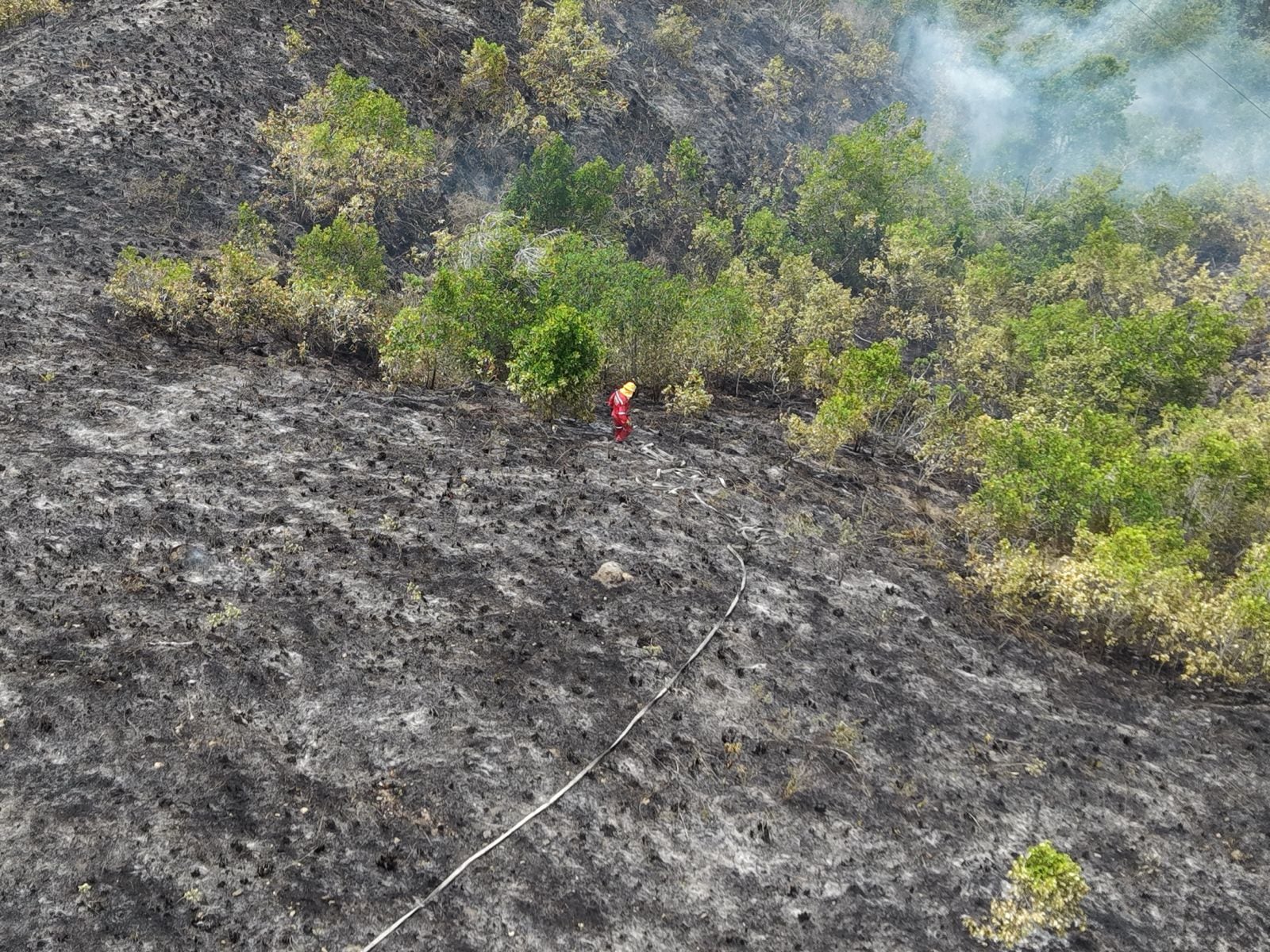 Incendio forestal en zona rural de Ocaña, Norte de Santander, consumió 10 hectáreas de vegetación.