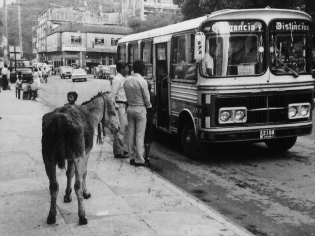 RECONSTRUCCIÓN DE LA MEMORIA A TRAVÉS DE LA FOTOGRAFÍA