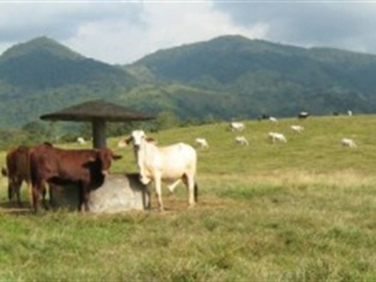 Autoridades expresan preocupación por secuestro de un ganadero en el Atlántico
