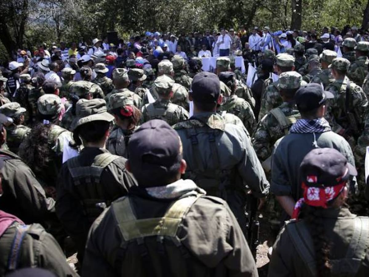 Testaferros y desertores de las Farc calientan debate de la JEP