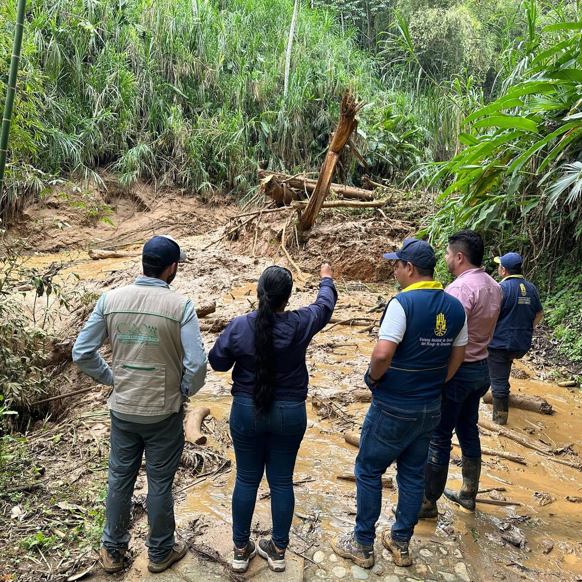 En Buenavista, Quindío decretan la calamidad pública para atender afectaciones por derrumbes