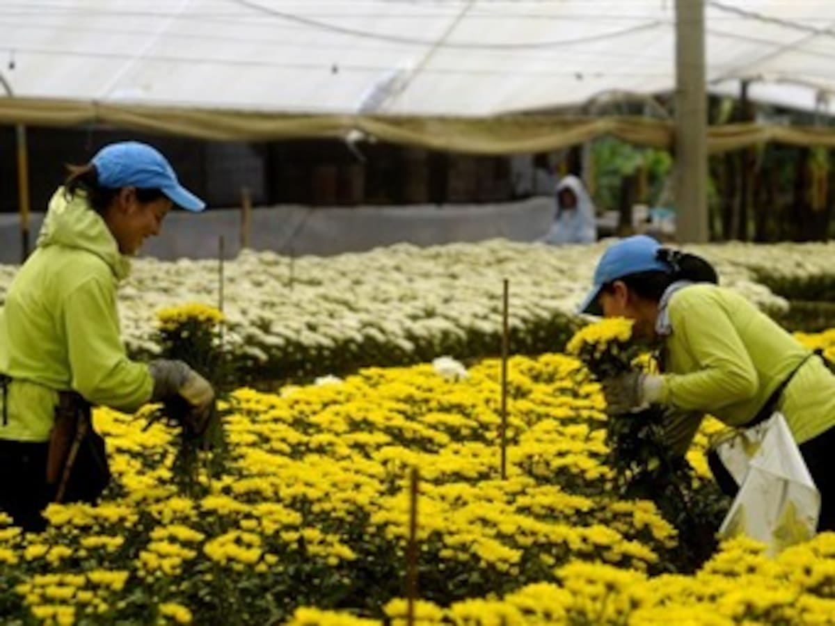 San Valentín, una celebración para los enamorados y para el comercio