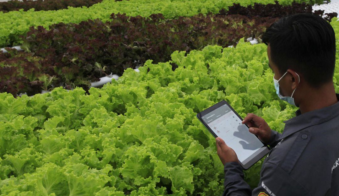 Conectividad para las zonas de producción agrícola.