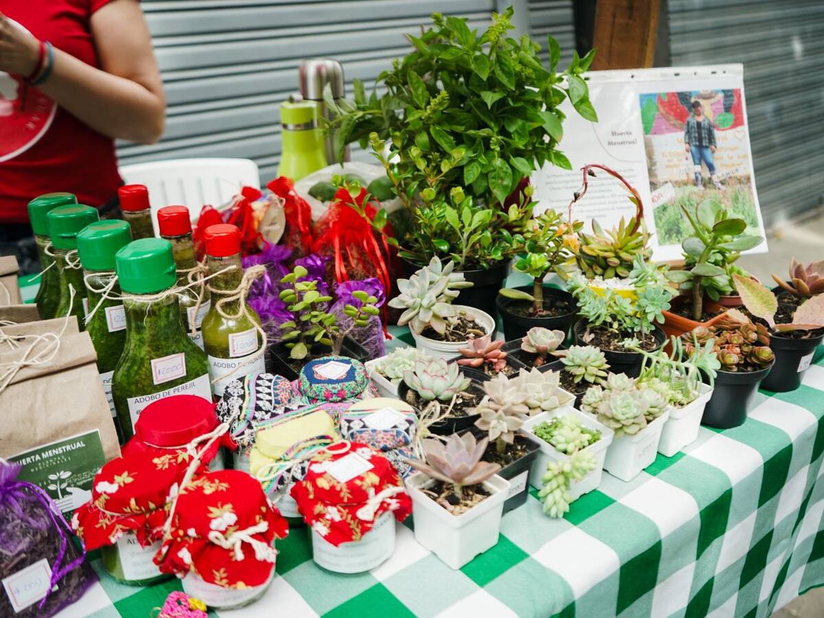 Víctimas de la violencia serán apoyadas con sus huertas y plantíos en Medellín