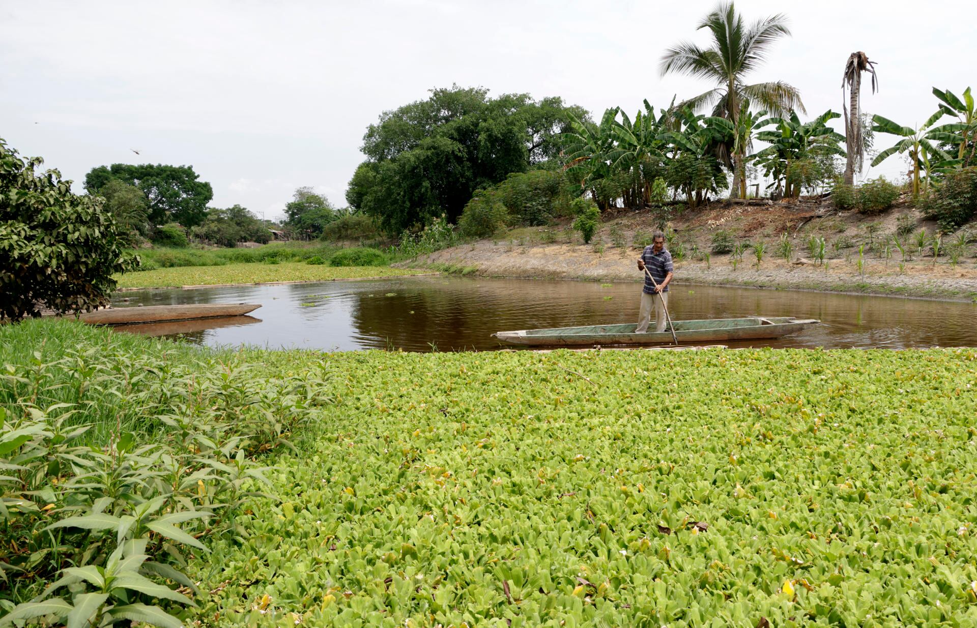 Un hombre cruza un arroyo, el 27 de marzo de 2024, en la población de Gautaca, corregimiento del municipio de Santa Cruz de Mompox (Colombia). EFE/ Ricardo Maldonado Rozo
