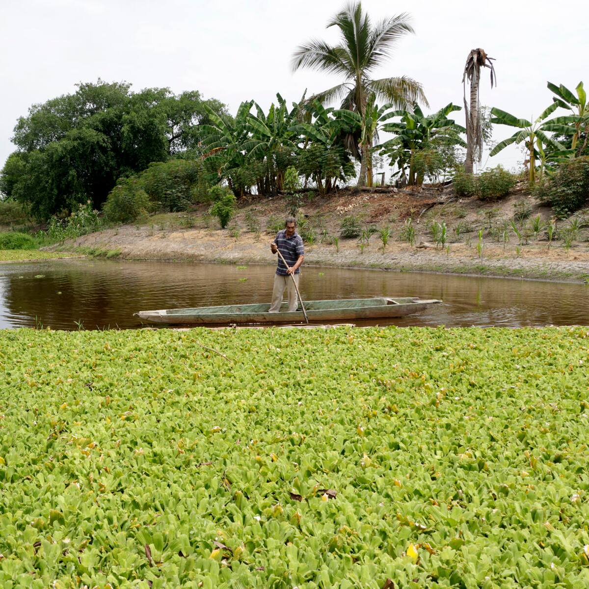 La sequía en la cuenca del río Magdalena deja sin agua a pueblos del norte de Colombia