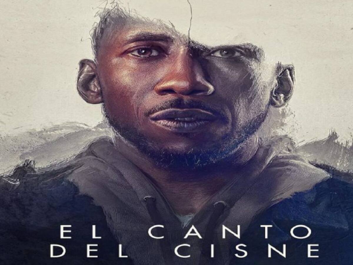 De Película: programa domingo 06 de febrero de 2022