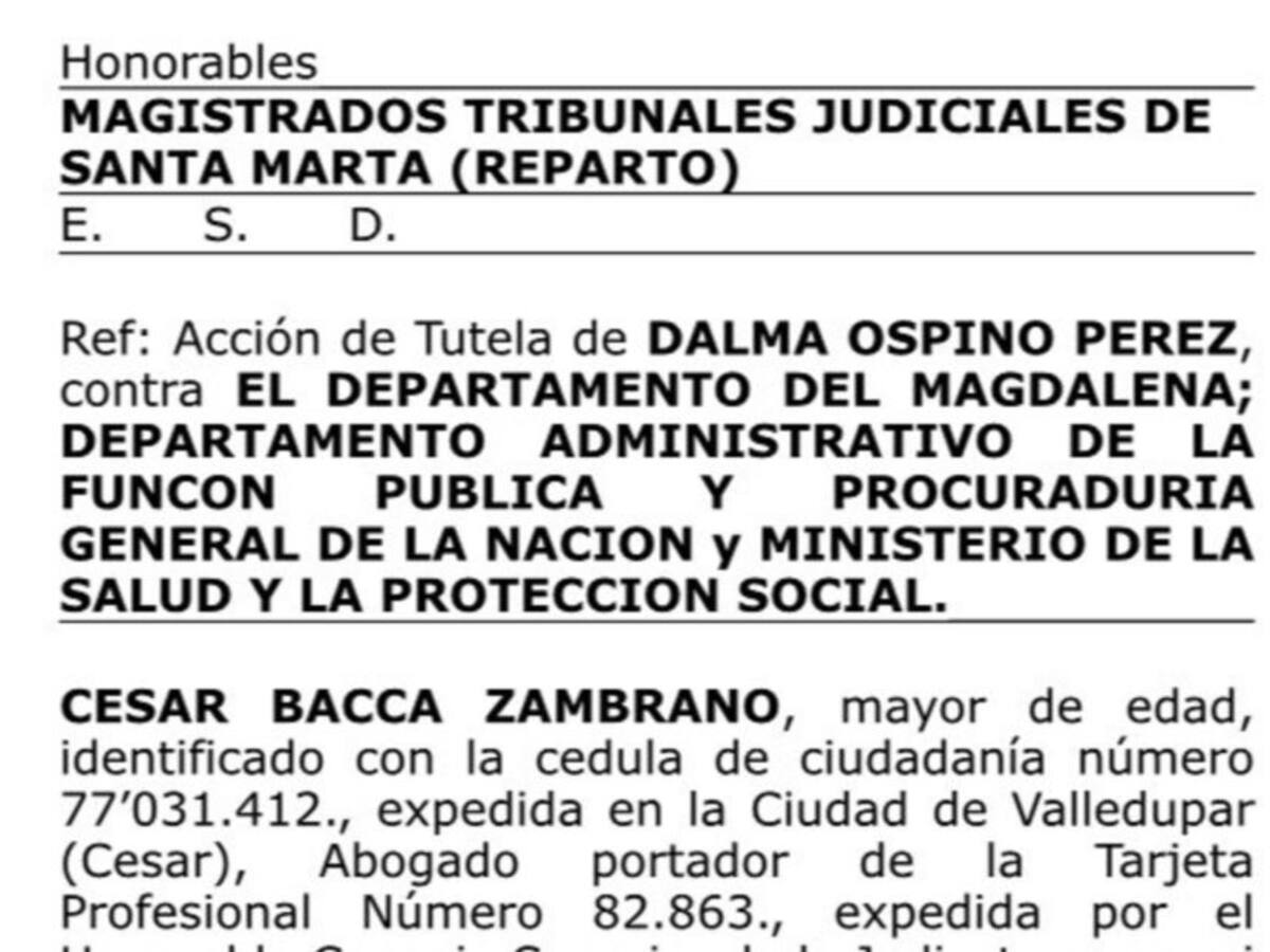 Instauran acción de tutela contra la Gobernación del Magdalena