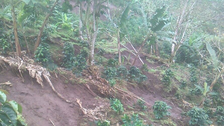Hay máxima alerta ante las fuertes lluvias que generaron un derrumbe que amenaza con caer a un río, lo que podría ocasionar una avalancha en el municipio de Sucre. Foto: Cortesía Sucesos Cauca