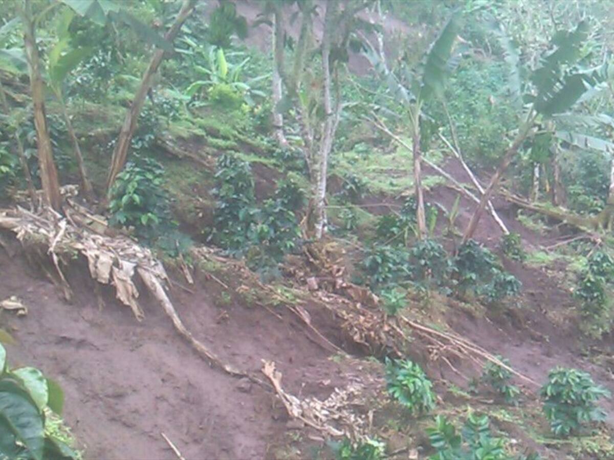Alerta por amenaza de avalancha en Sucre, Cauca