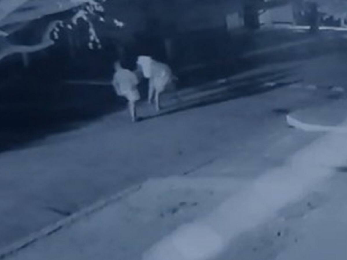 Cruces en fachadas de viviendas en Juan de Acosta fue una broma de jóvenes