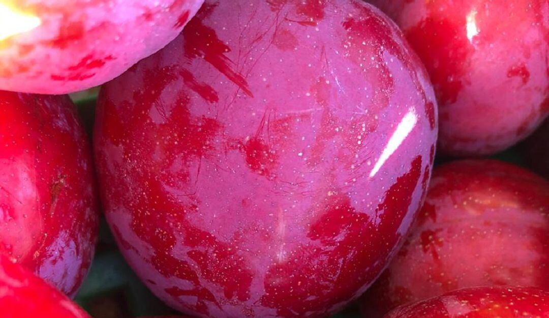 Ciruelas de Nuevo Colón