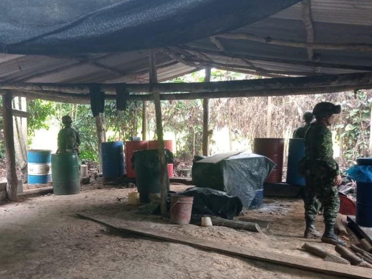 Ejército ubica y destruye dos nuevos laboratorios de coca en San José de Uré