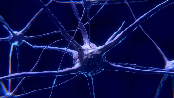 La neuropatía diabética.