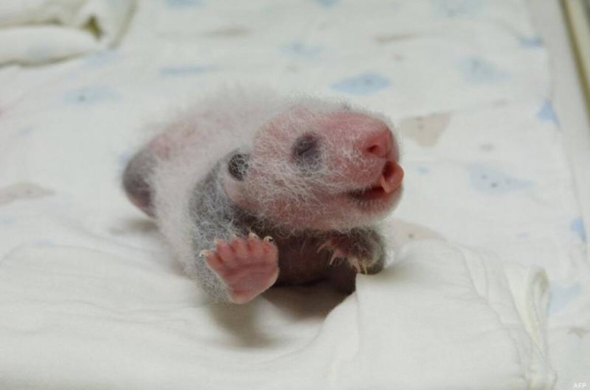 Foto:http://www.huffingtonpost.es/