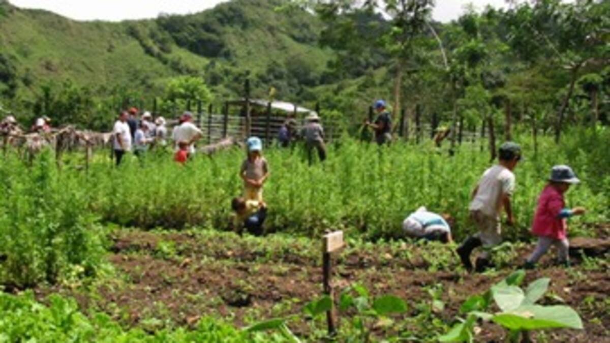 Desigualdad también se refleja en medioambiente