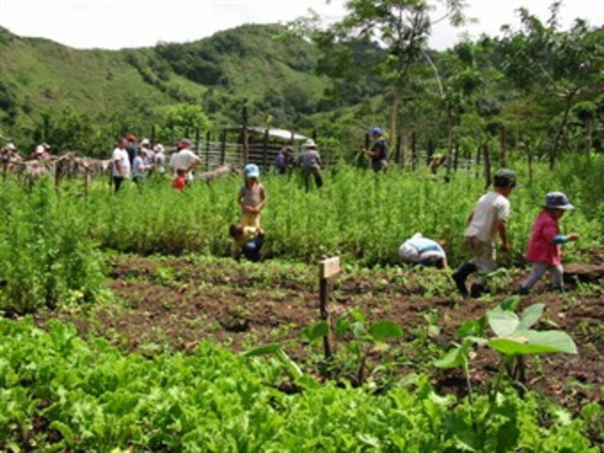 Desigualdad también se refleja en medioambiente