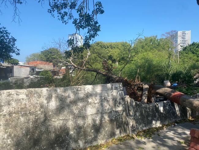 Habitantes de Los Caracoles denuncian que lote de Napoleón Perea es guarida de delincuentes