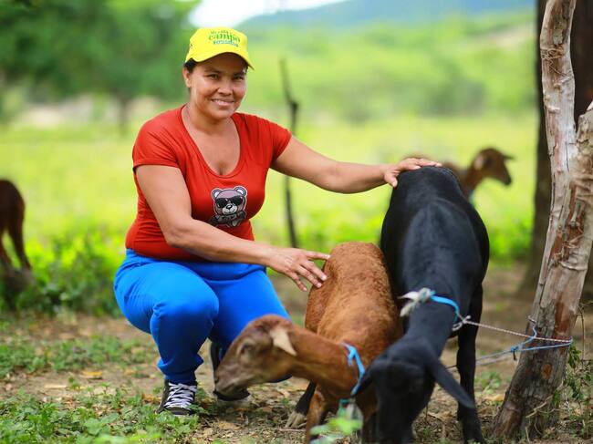Zambrano impulsa la producción ovina sostenible con apoyo de la ART y la FAO