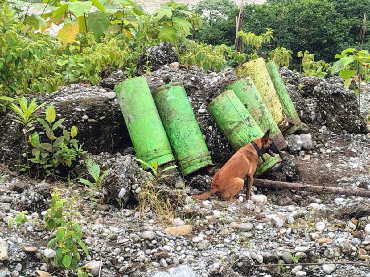 Ejército frustró dos atentados de las disidencias de ‘Iván Mordisco’ en Cauca