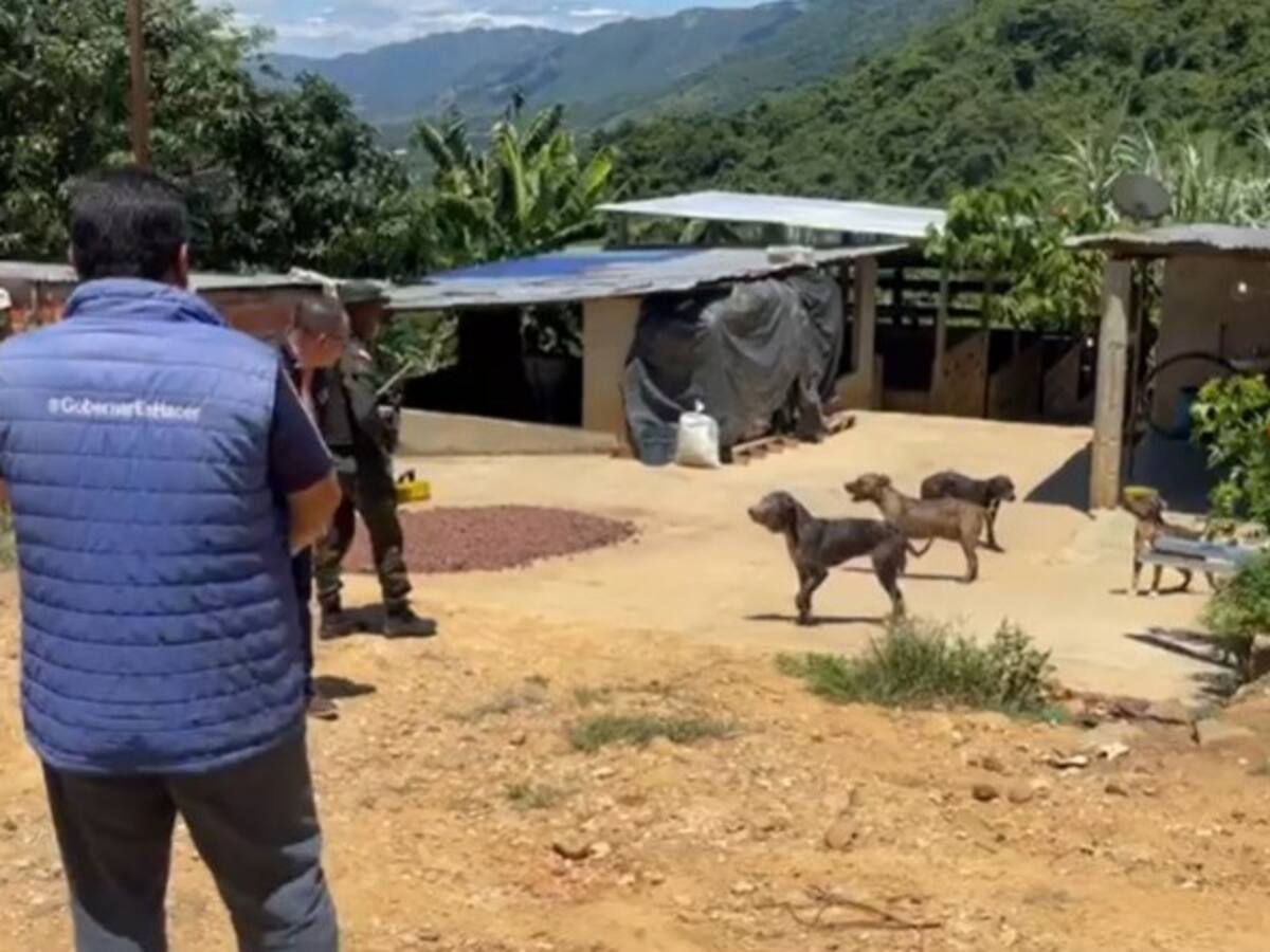 Multa de $46 millones al dueño de los perros que atacaron a niño de 5 años