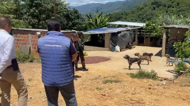 Multa de $46 millones al dueño de los perros que atacaron a niño de 5 años