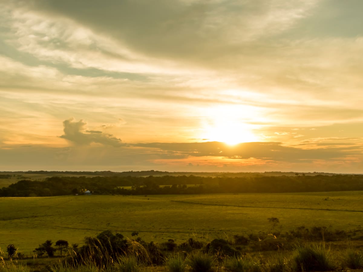 Lista de destinos en el Meta para pasar el ‘puente de Reyes’: hay varios planes naturales