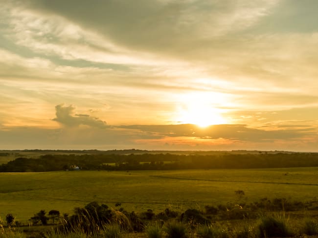 Departamento del Meta - Getty Images