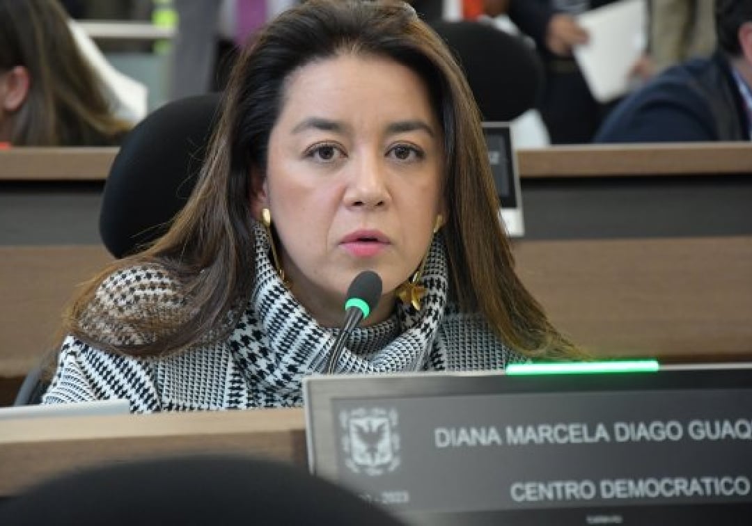 Concejal Diana Diago