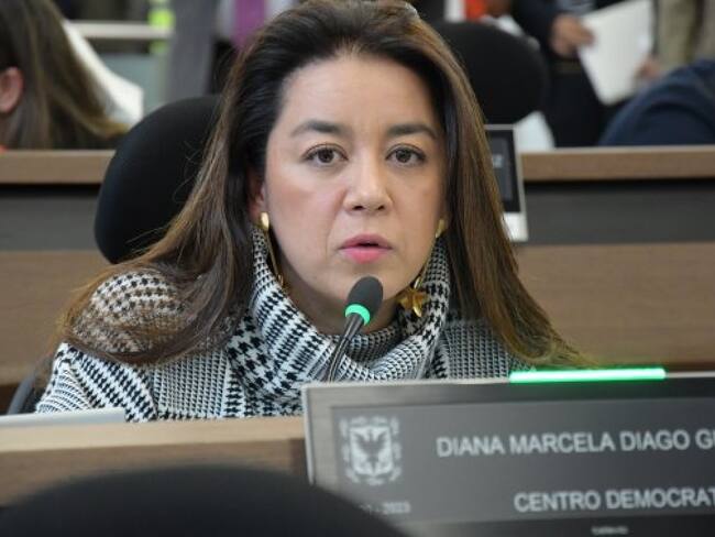 “Bogotá no solo necesita policías, requiere inteligencia”: concejal Diana Diago