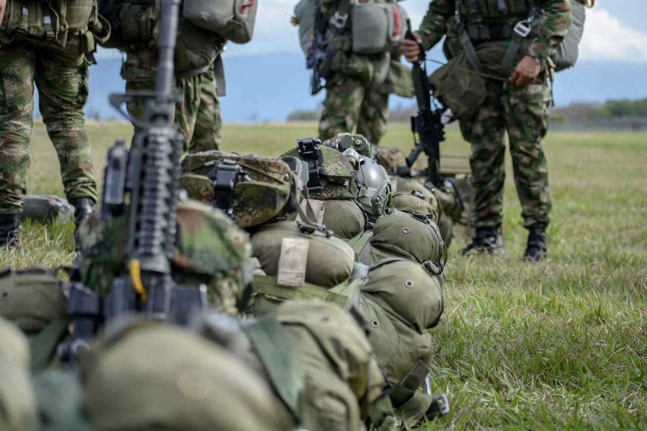 Imagen de referencia suministrada.