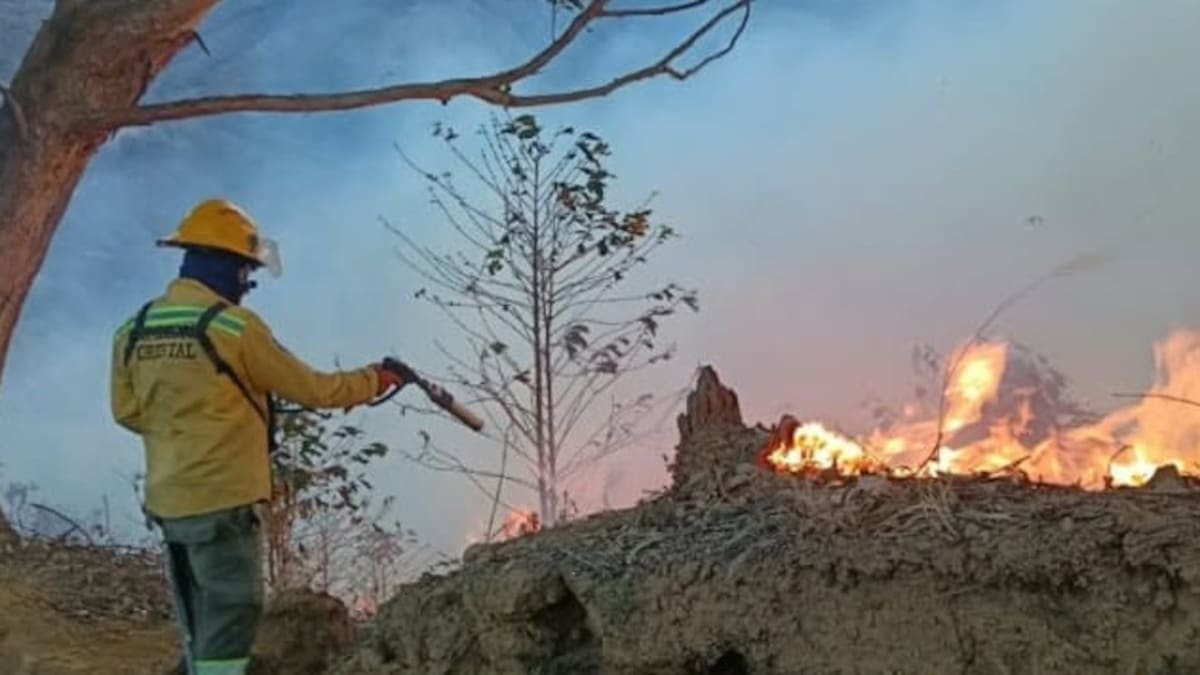 Diego Aristizábal, afectado incendio en Pijao, Quindío